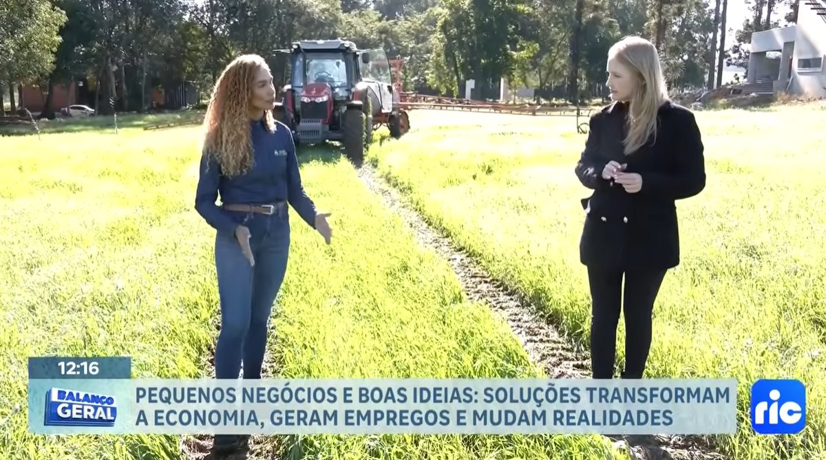 Pequenos negócios e boas ideias